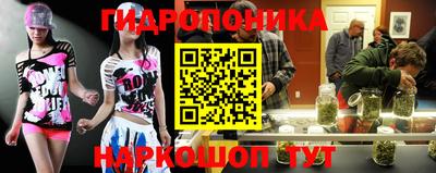 дживик Бийск