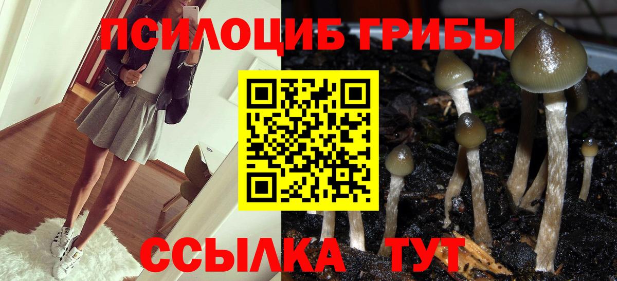 Галлюциногенные грибы Magic Shrooms  Вход с VPN  Ишимбай 